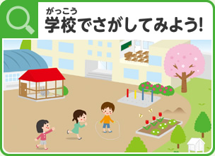 学校でさがしてみよう！
