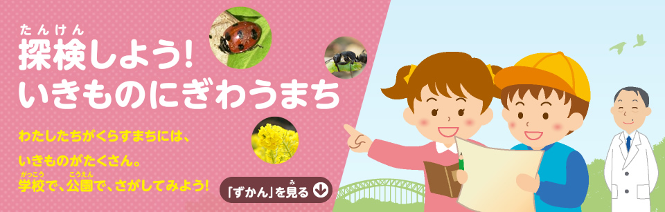 探検しよう！ いきものにぎわうまち